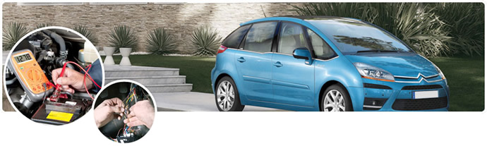 Peugeot ve Citroen Elektronik Bakm